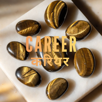 Career & Success