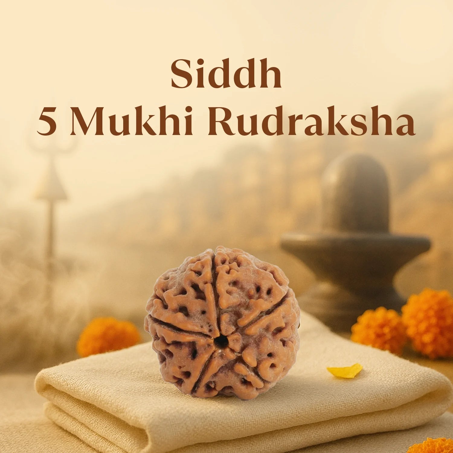 Kashi Siddh Nepal Origin 5 Mukhi Rudraksha - 17mm to 22mm