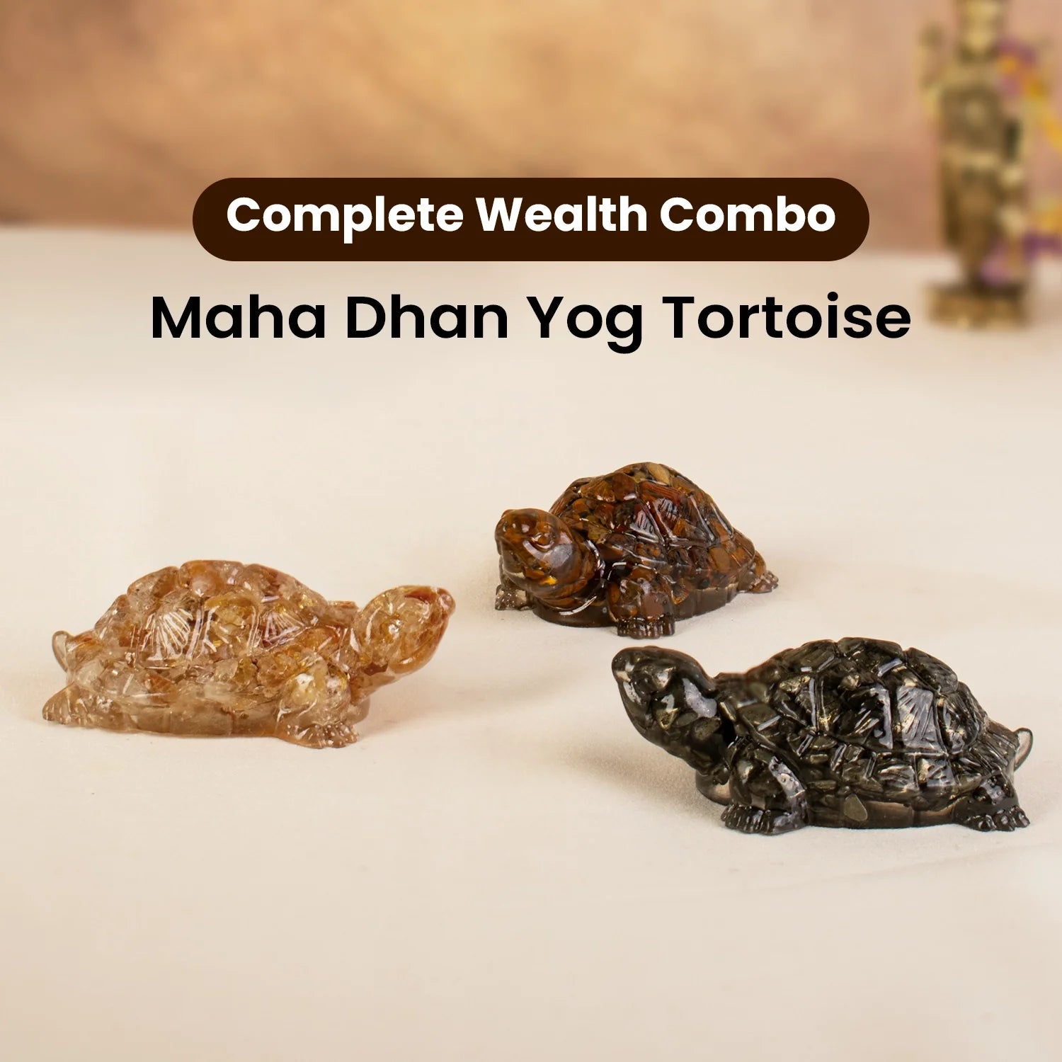 Maha Dhan Yog Tortoise Combo