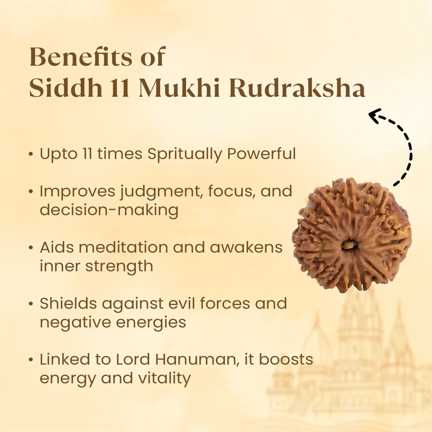 Kashi Siddh Nepal Origin 11 Mukhi Rudraksha - 17mm to 22mm