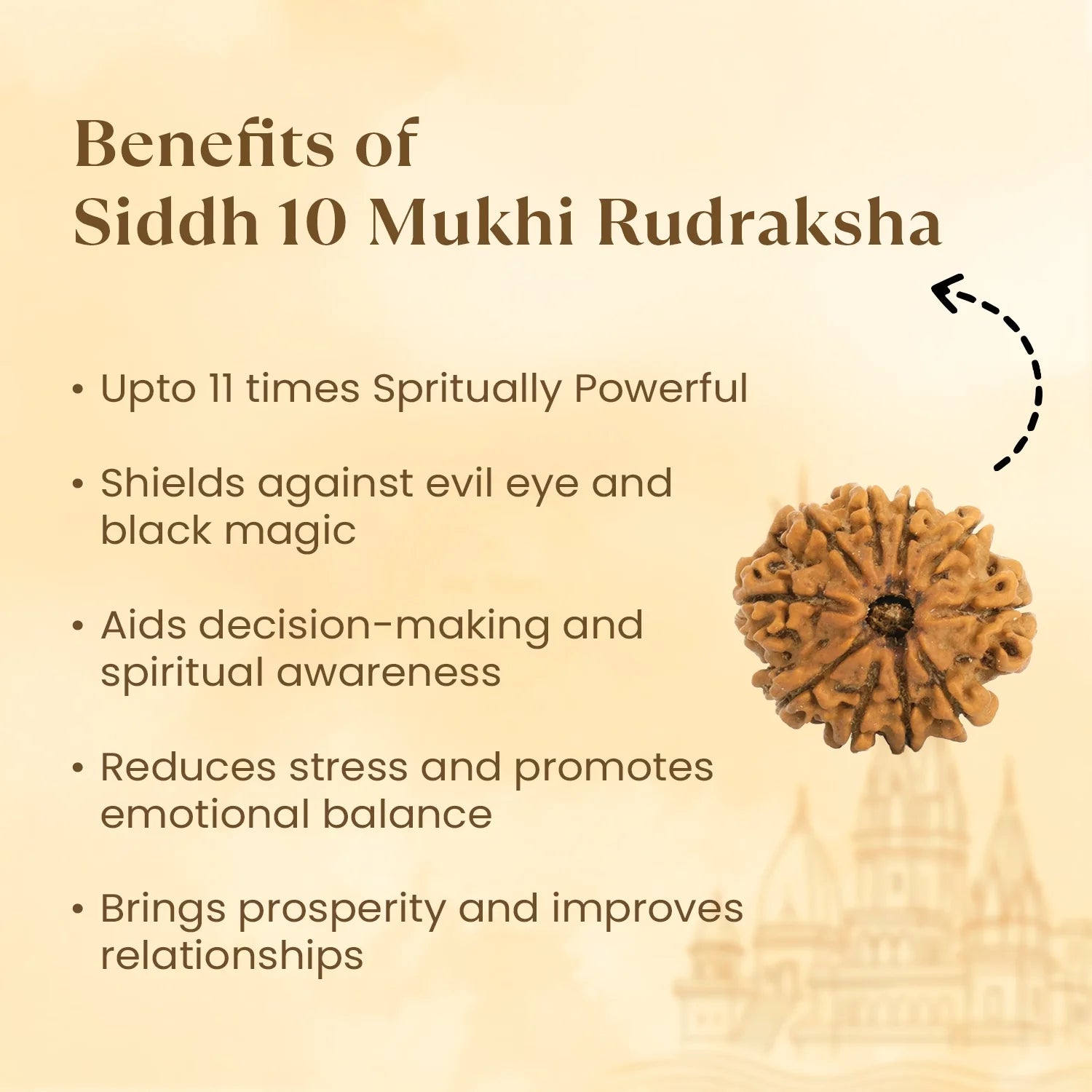 Kashi Siddh Nepal Origin 10 Mukhi Rudraksha - 17mm to 22mm