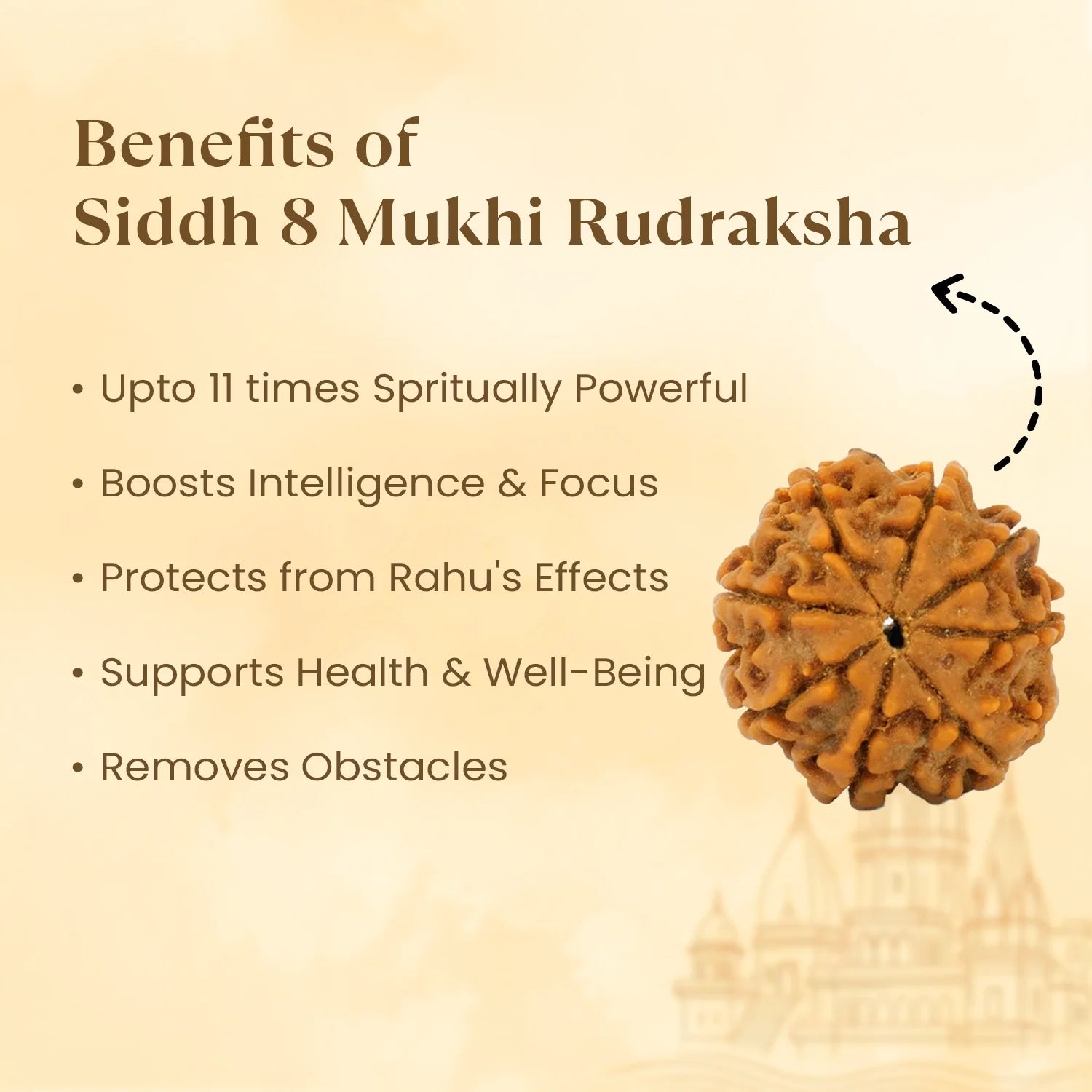 Kashi Siddh Nepal Origin 8 Mukhi Rudraksha - 17mm to 22mm