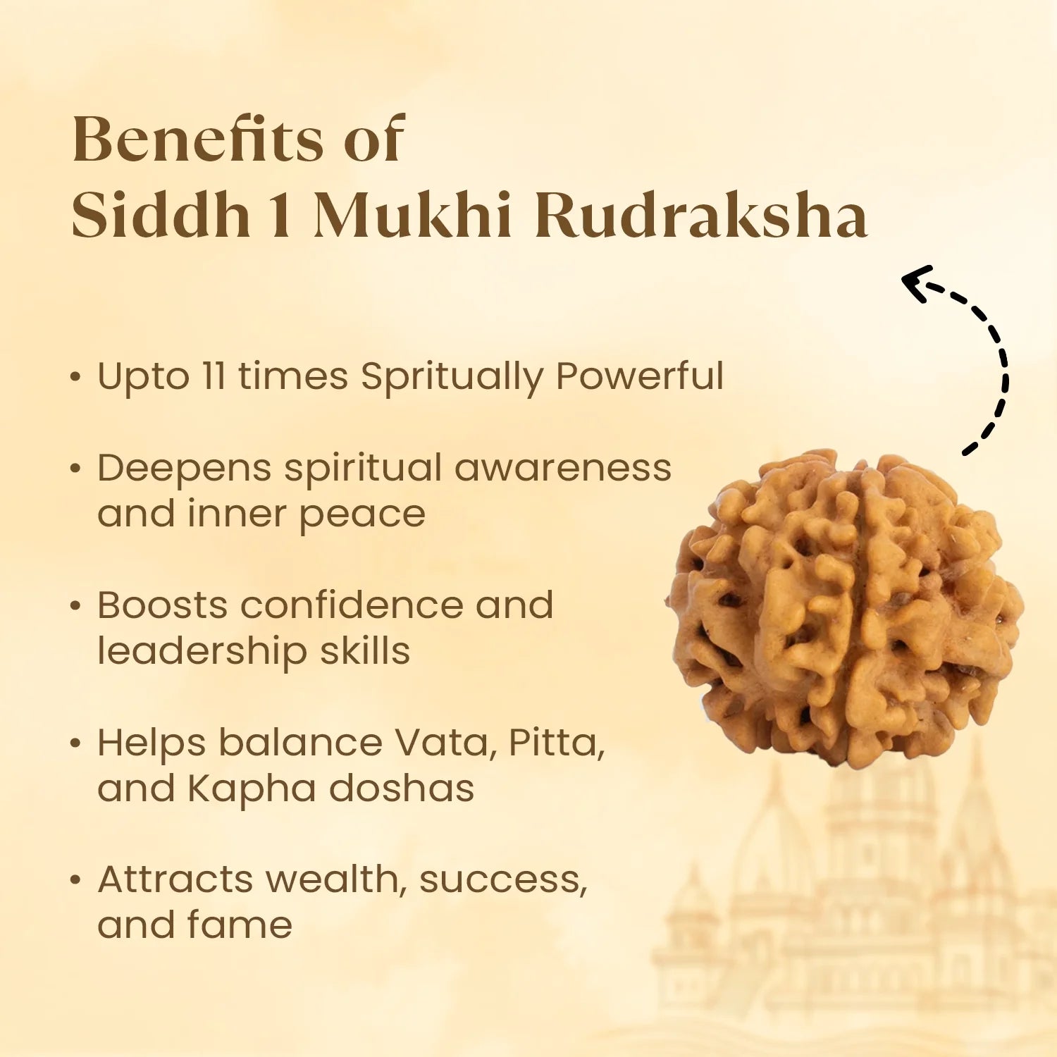 Kashi Siddh Nepal Origin 1 Mukhi Rudraksha - 17mm to 22mm (Under Developed)