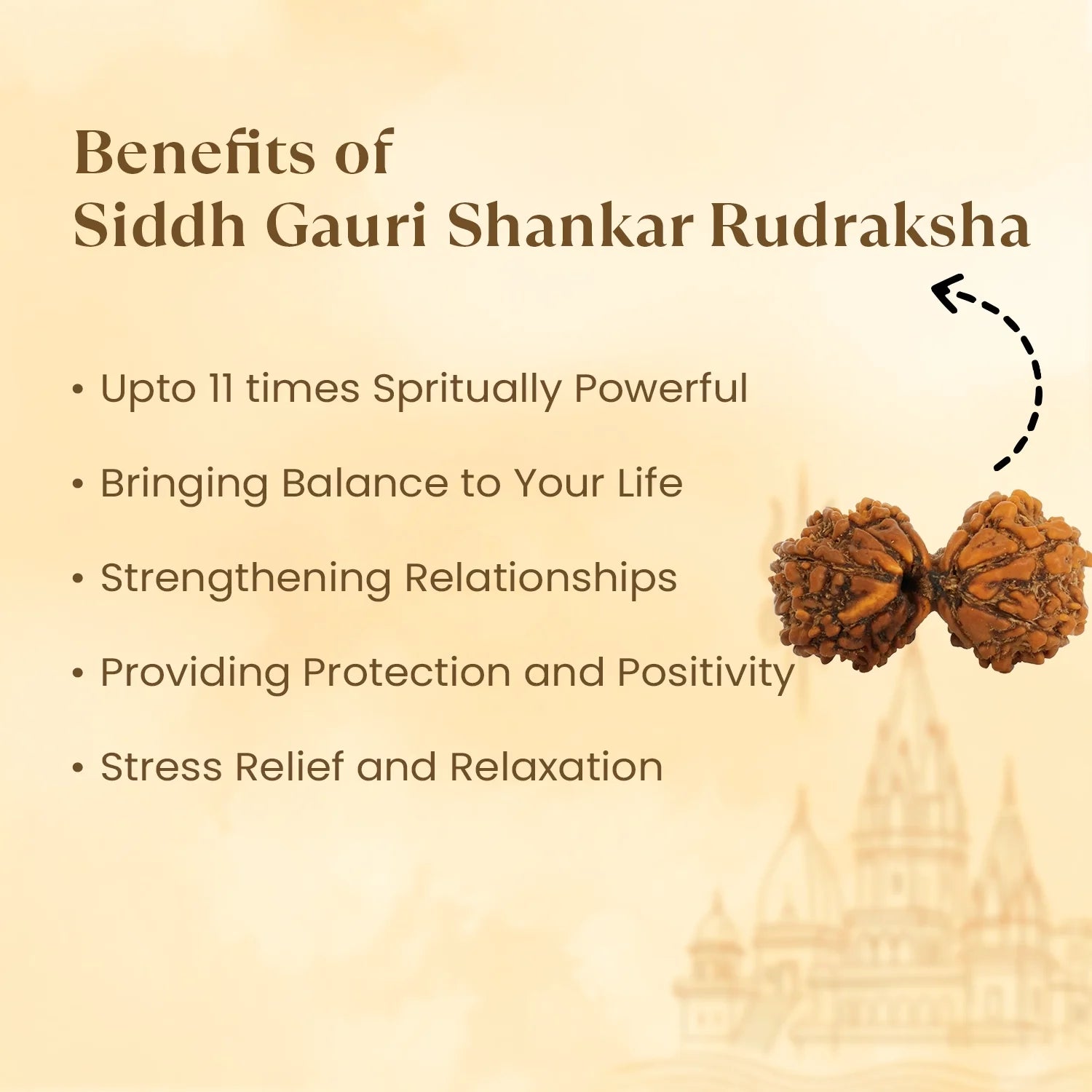 Kashi Siddh Nepal Origin Gauri Shankar Rudraksha - 17mm to 22mm