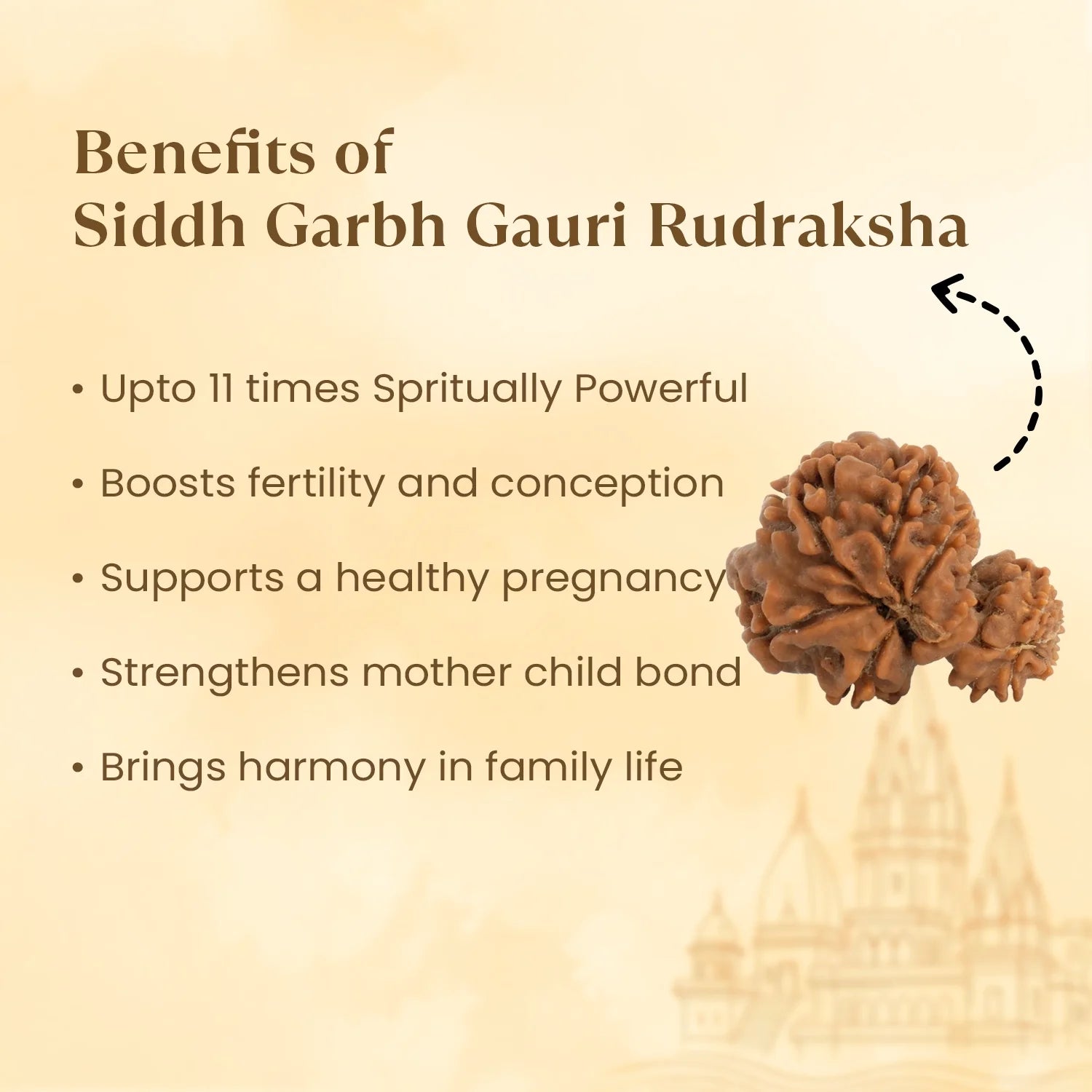Kashi Siddh Nepal Origin Garbh Gauri Rudraksha - 17mm to 22mm
