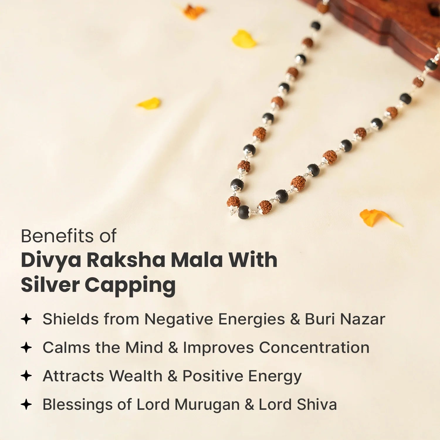 Divya Raksha Mahadev Combo