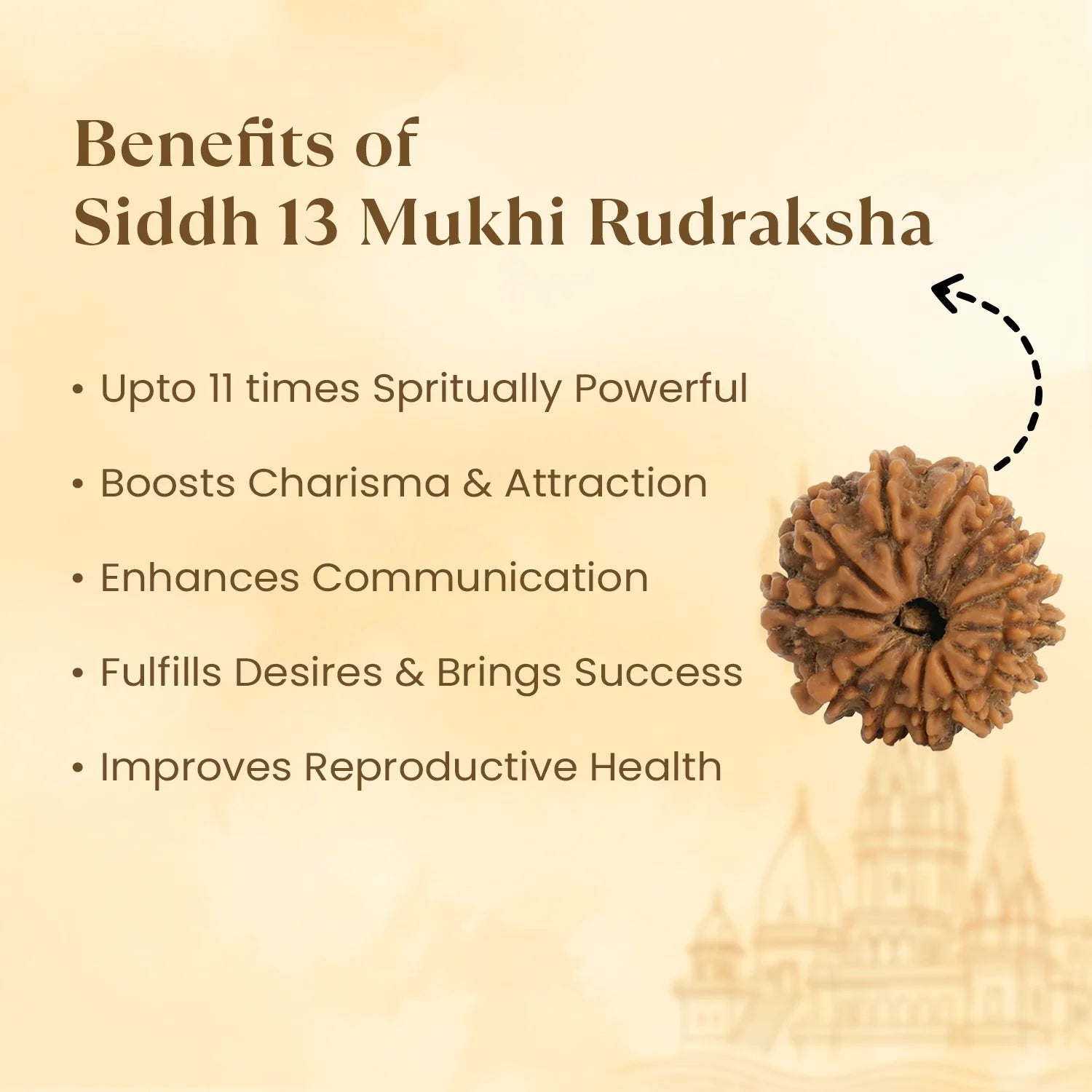 Kashi Siddh Nepal Origin 13 Mukhi Rudraksha - 17mm to 22mm