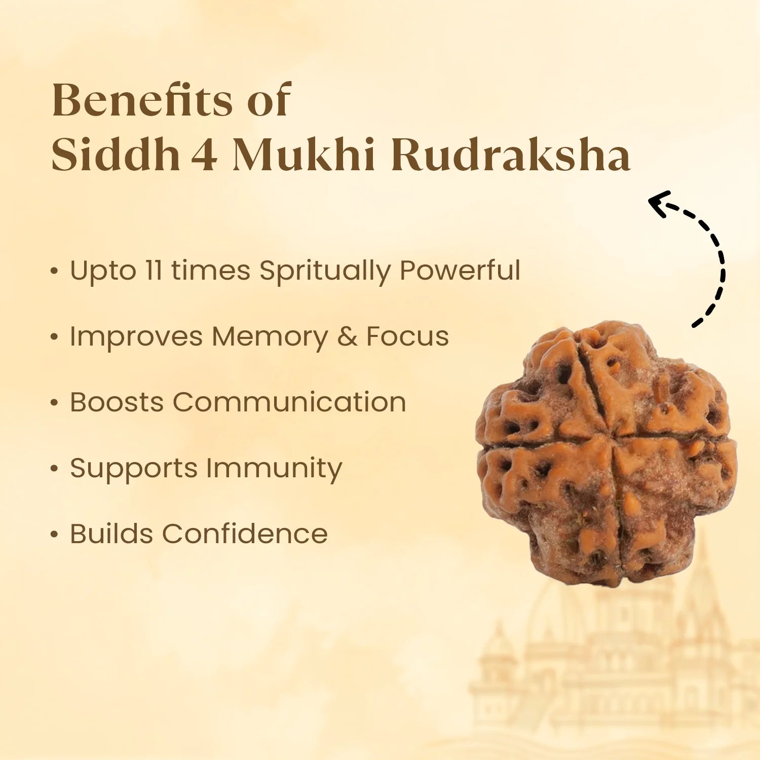 Kashi Siddh Nepal Origin 4 Mukhi Rudraksha - 17mm to 22mm