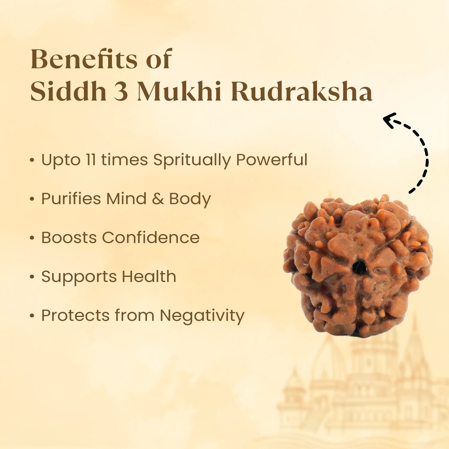 Kashi Siddh Nepal Origin 3 Mukhi Rudraksha - 17mm to 22mm