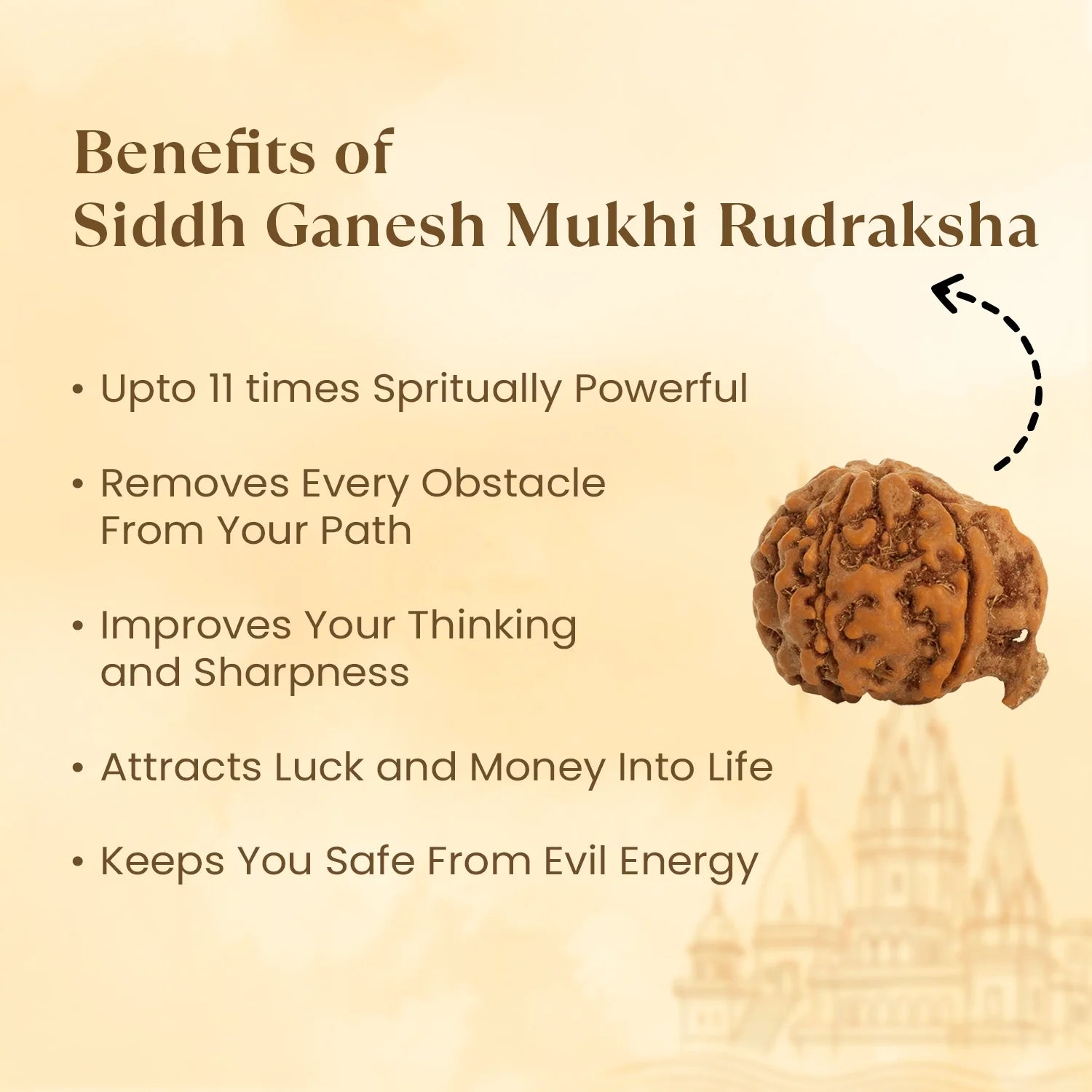 Kashi Siddh Nepal Origin Ganesh Mukhi Rudraksha - 17mm to 22mm