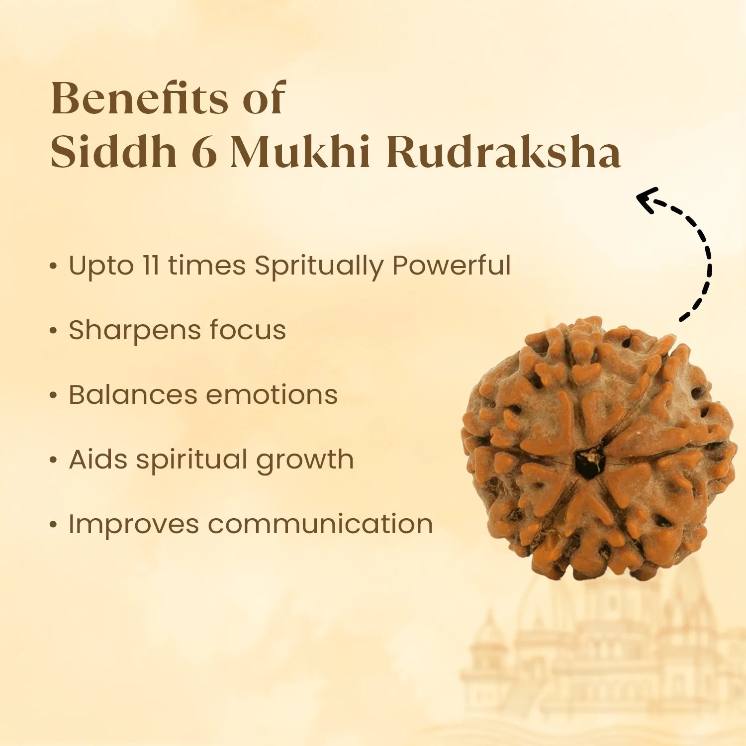 Kashi Siddh Nepal Origin 6 Mukhi Rudraksha - 17mm to 22mm