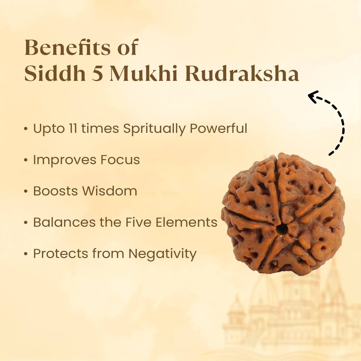 Kashi Siddh Nepal Origin 5 Mukhi Rudraksha - 17mm to 22mm