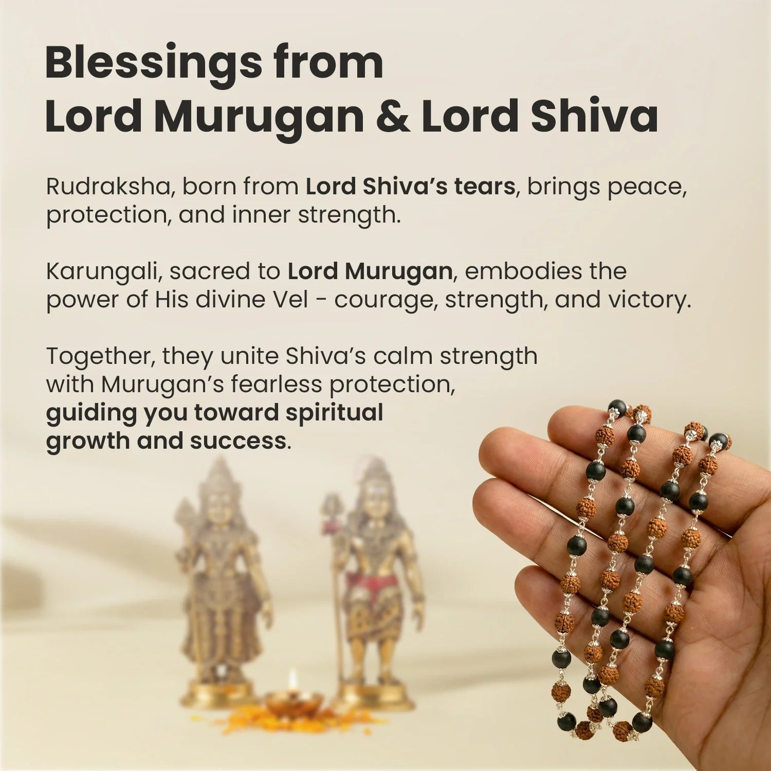Divya Raksha Mahadev Combo