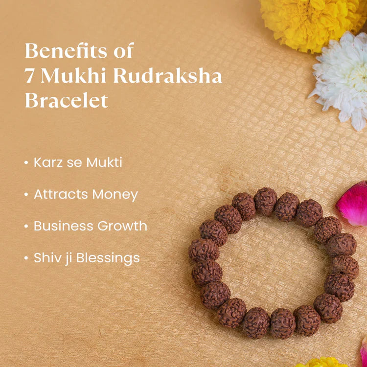 7 Mukhi Rudraksha Combo