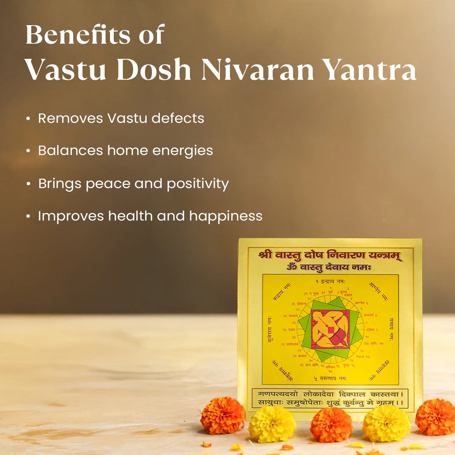 Vastu Dosh Nivaran Yantra (6*6 inch)