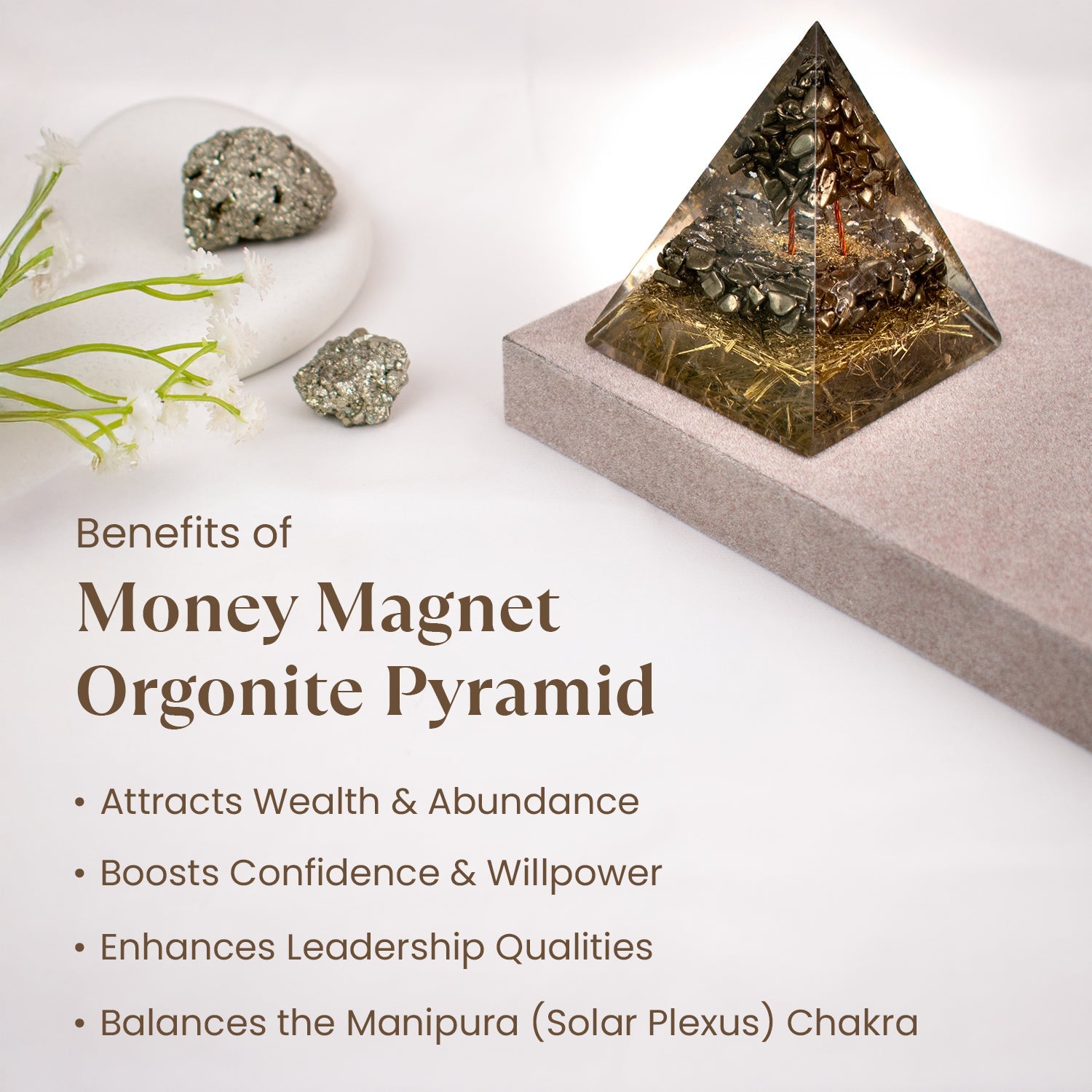 Money Magnet Combo