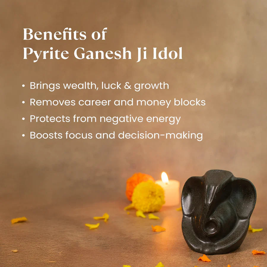 Sampoorna Ganesha Pyrite Combo