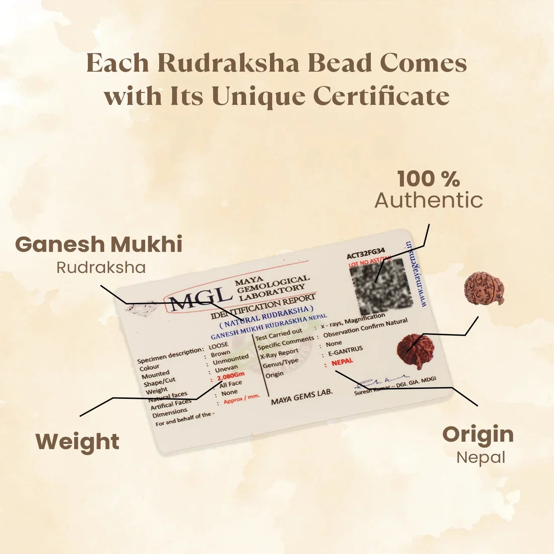 Pyrite Ganesh Ji Murti with Ganesh Mukhi Rudraksha