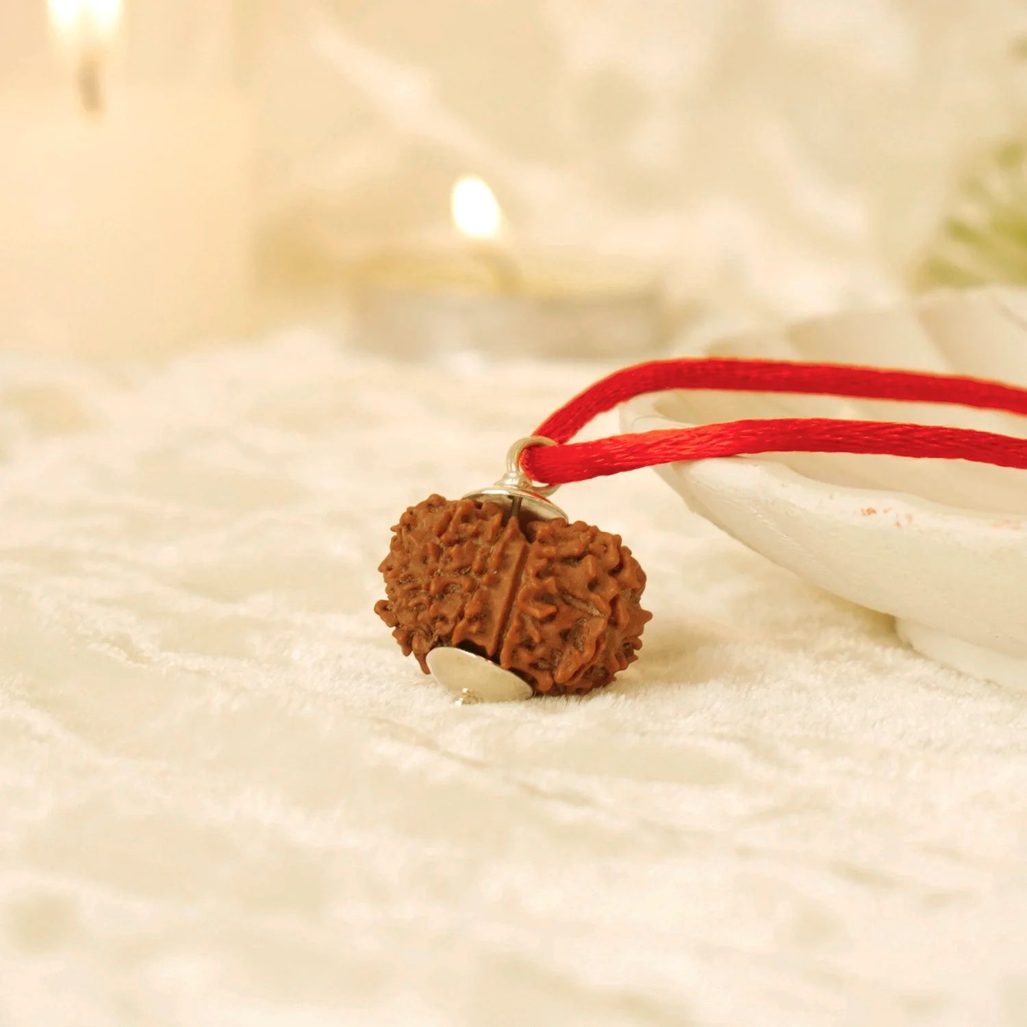Nepal Origin 12 Mukhi Rudraksha - 17mm to 22mm