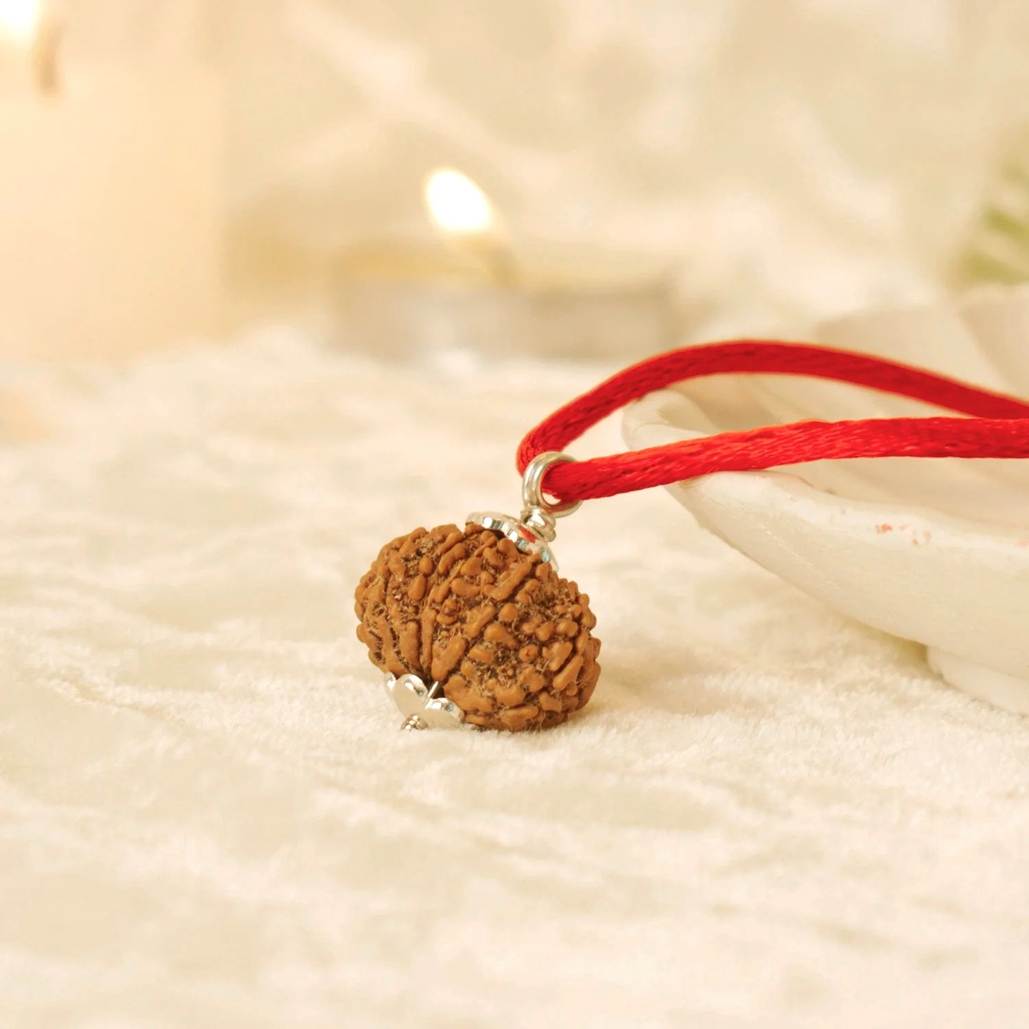 Nepal Origin 13 Mukhi Rudraksha -  17mm to 22mm