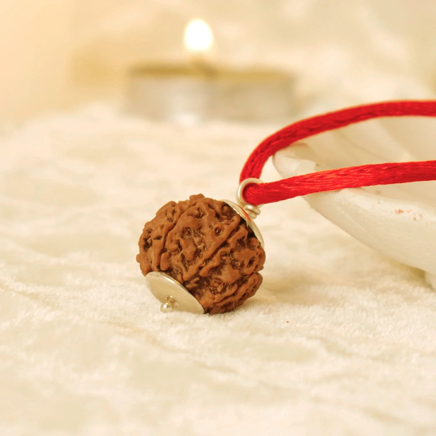 Nepal Origin 6 Mukhi Rudraksha - 17mm to 22mm